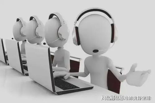 蕓豆花官網(wǎng)客服服務(wù)體系升級，提供全方位用戶信息咨詢服務(wù)